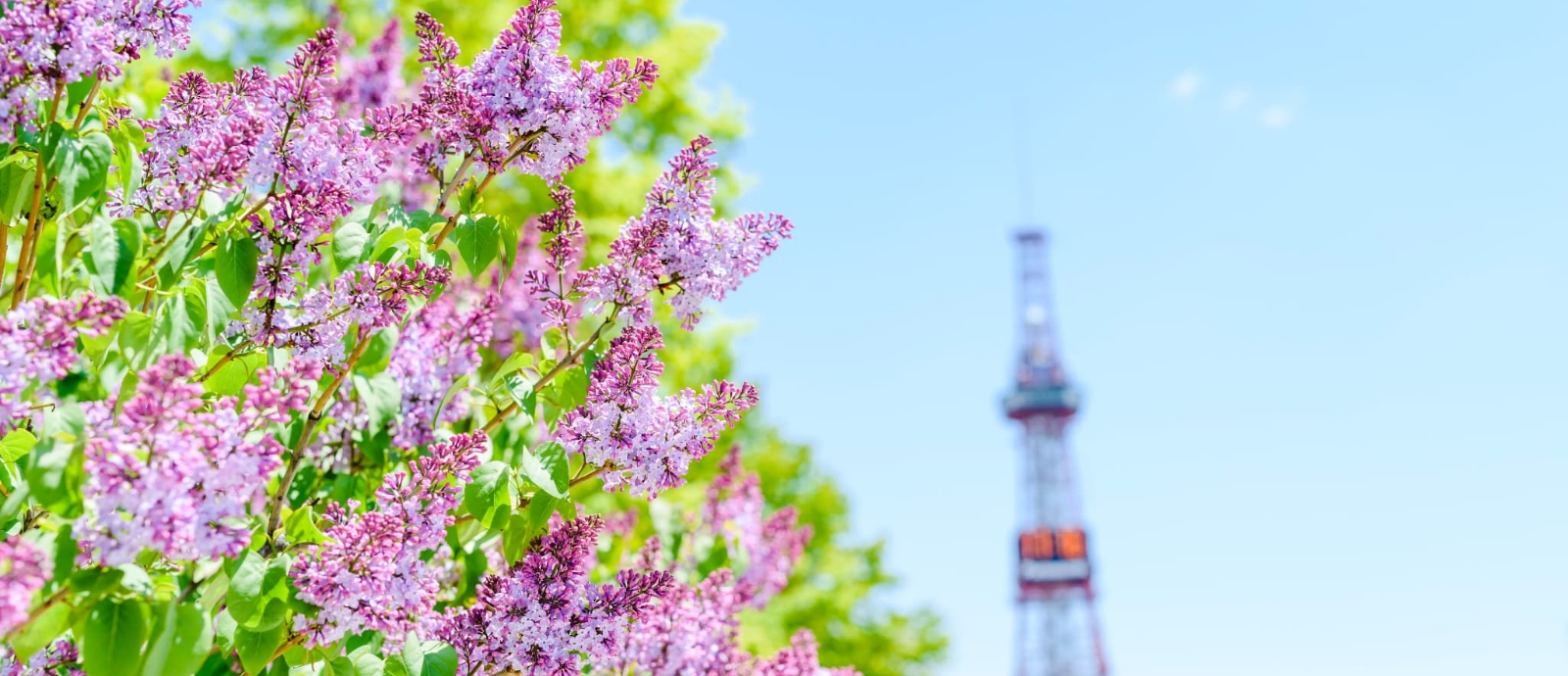 メインビジュアル画像